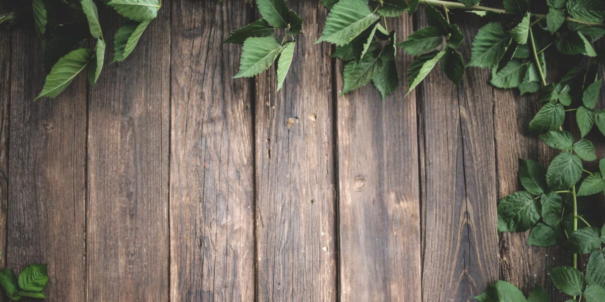 Resources Thriving Path Therapy