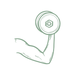 outline icon of an arm lifting a dumbell